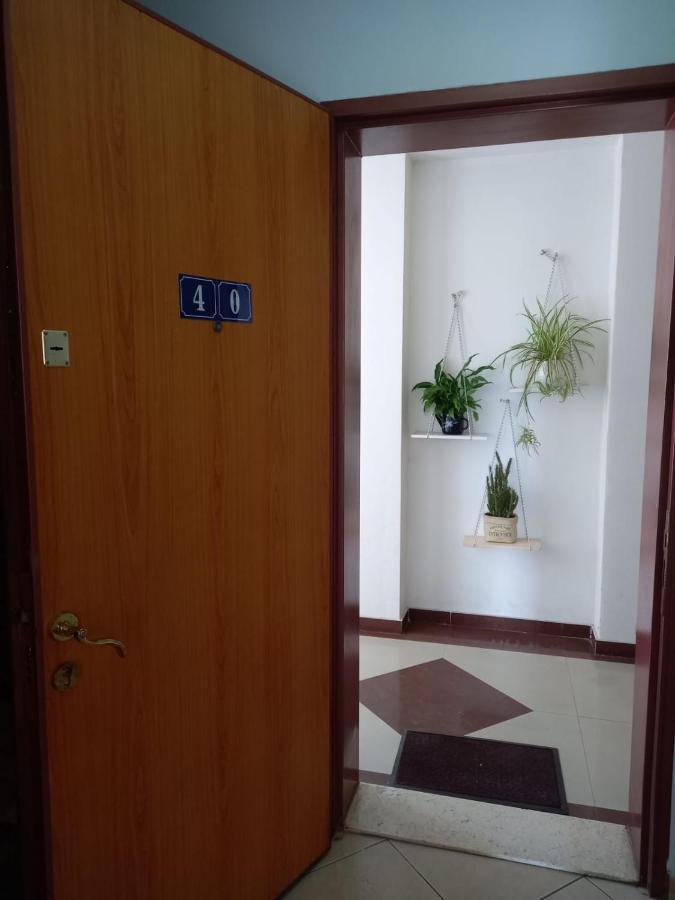 שקודר Panoramic Apartment מראה חיצוני תמונה