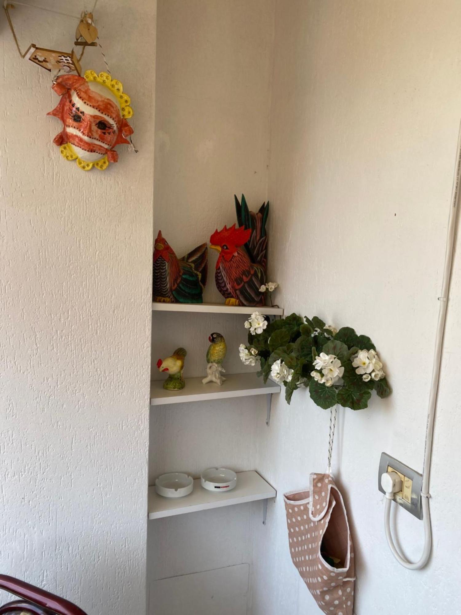 שקודר Panoramic Apartment מראה חיצוני תמונה